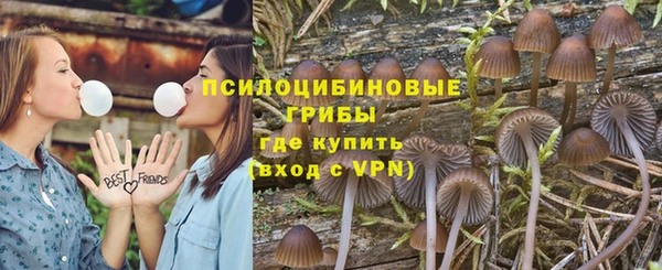 спайс Абаза